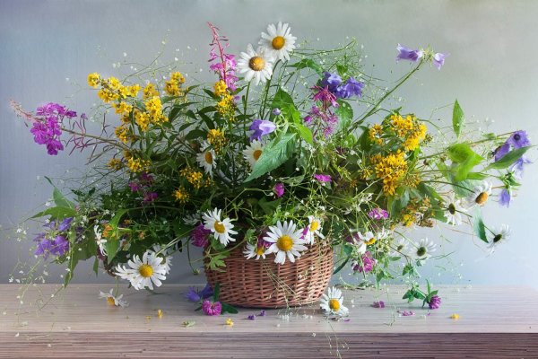 Полевой букет