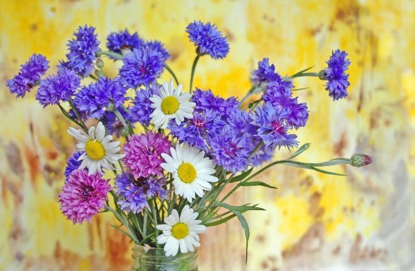 Букет 101 Ромашка