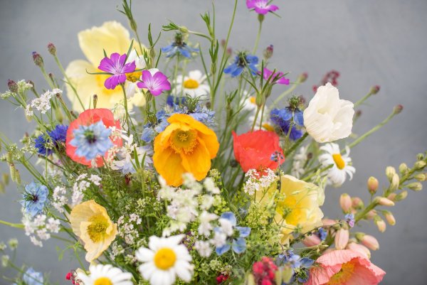 Марина Филатова блоггер