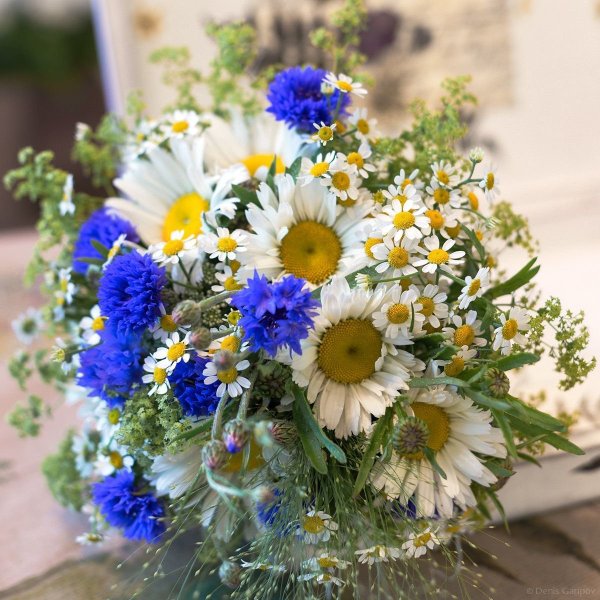 Маки и васильки букет