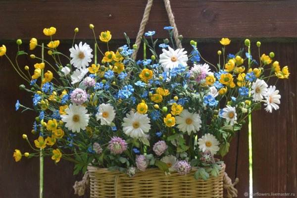 Букет весенних полевых цветов