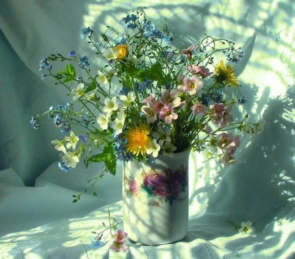 Поле с полевыми цветами