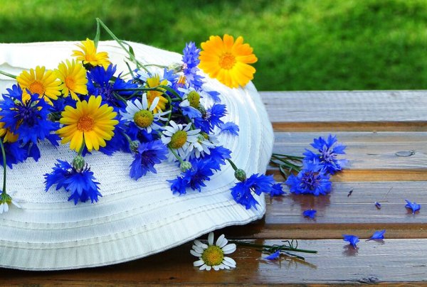 Луиза Гельтс ромашки