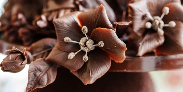 Цветы шоколадного цвета