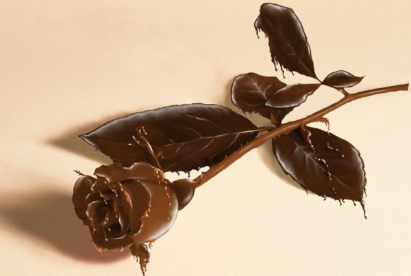 Розы и шоколад