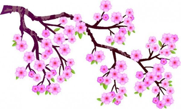 Дети Сакуры