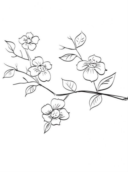 Рисование цветы на ветке