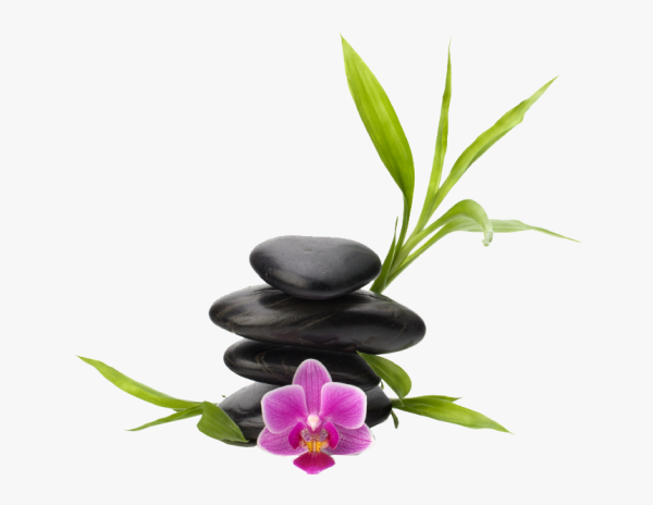 Массажные камни без фона