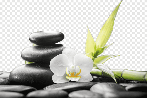 Полотенца спа