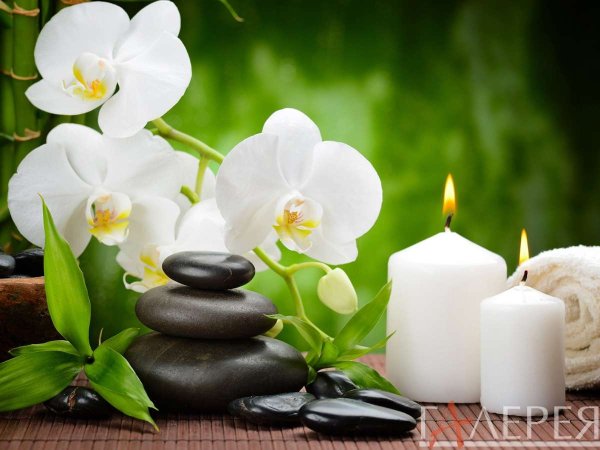 Спа на белом фоне