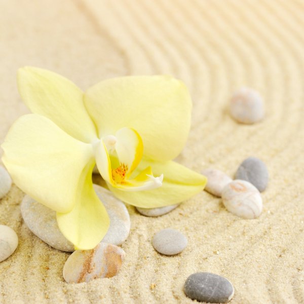 Тайский массаж шейно-воротниковой зоны