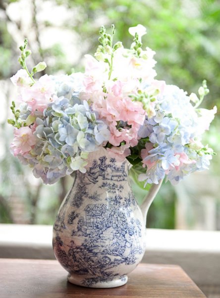 Гортензия Прованс