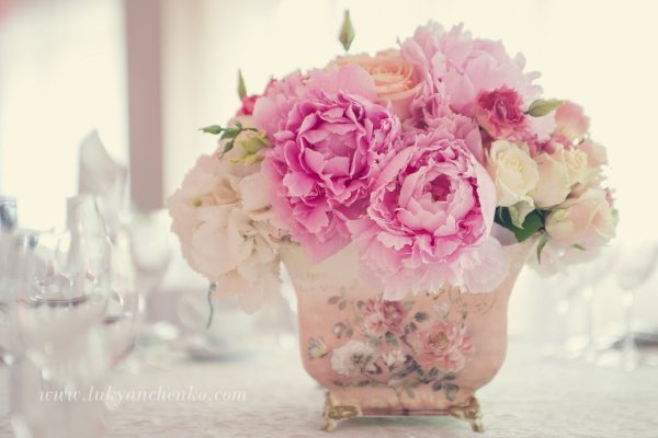 Пионы Прованс