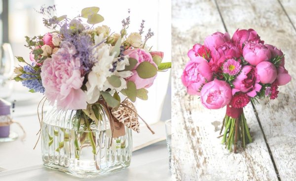 Цветы Прованса пионы