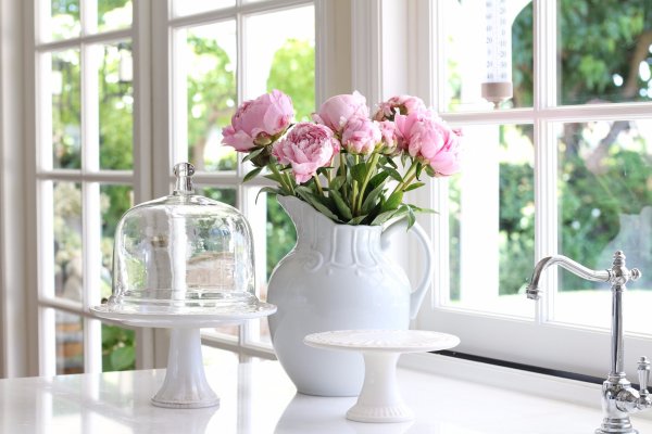 Нежная акварель - Дарья Чачева