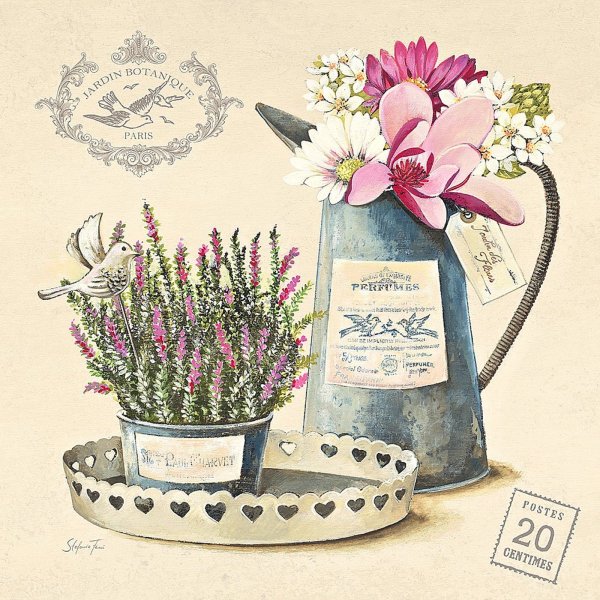 Ранункулюс пастель