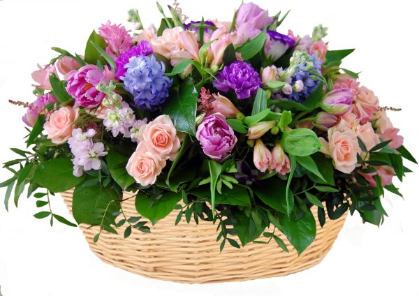 Шикарная корзина цветов