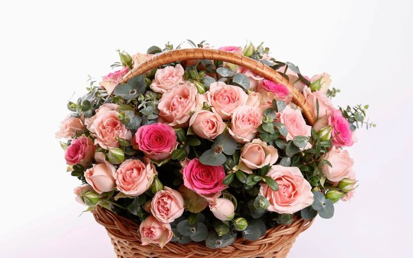 Красивые цветы в корзине