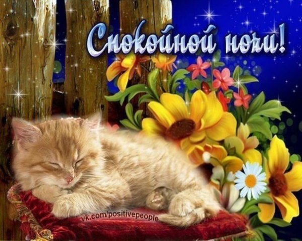 Спокойной весенней ночи
