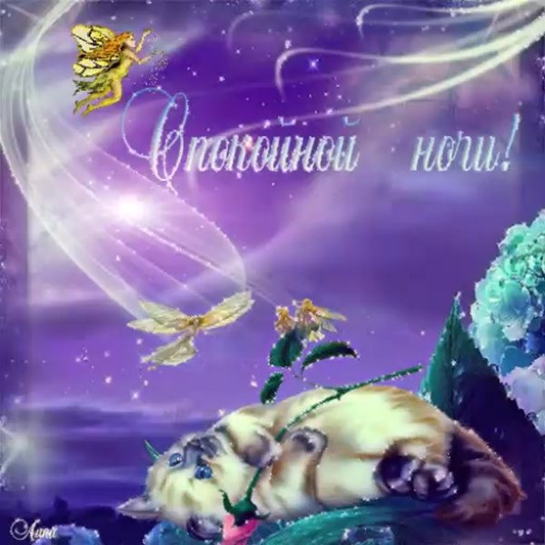 Доброй ночи сладких снов