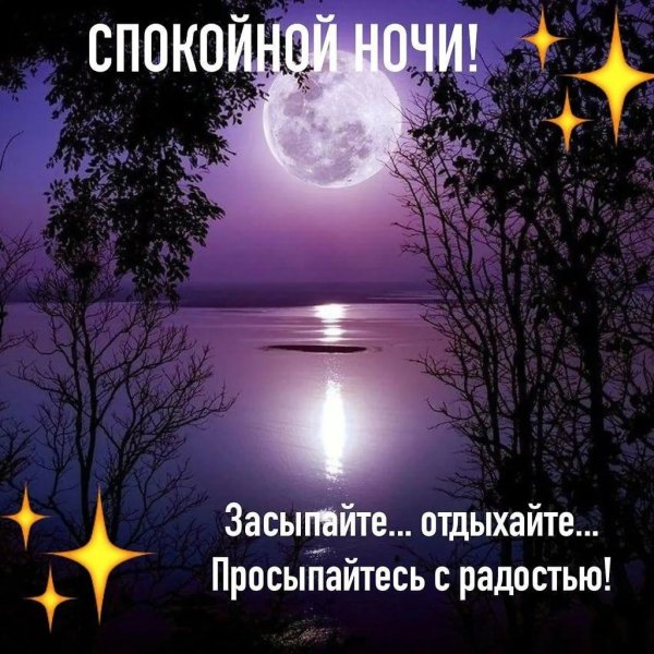 Спокойной ночи сладких снов