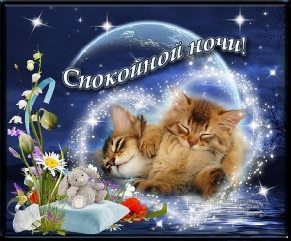 Спокойной весенней ночи любимому