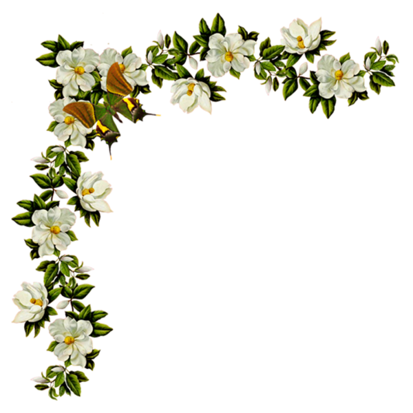 Цветы обрамление уголок