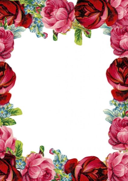 Рамка с цветами