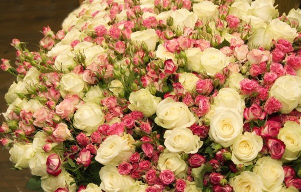 Букет шикарный