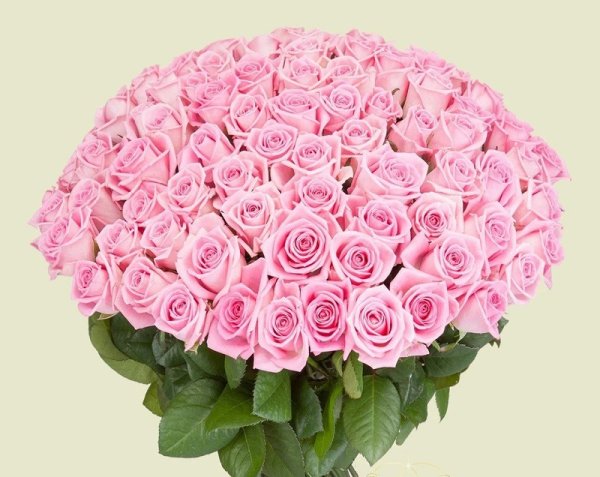 Открытки с днём рождения розы