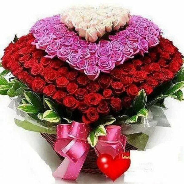 Шикарный букет для подруги