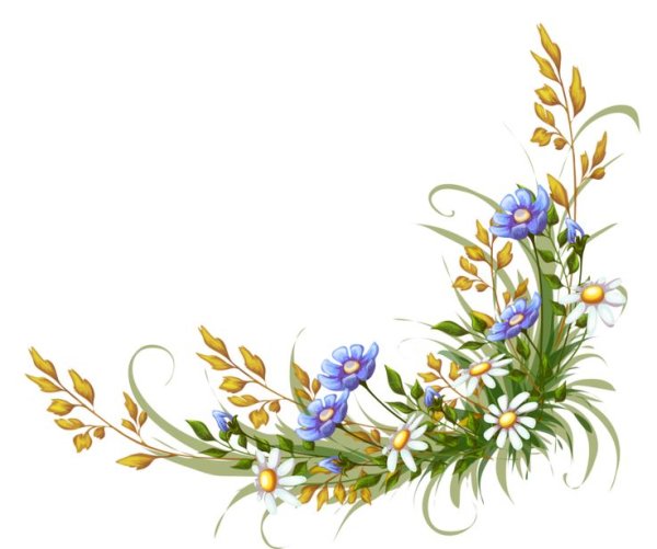 Рамка полевые цветы