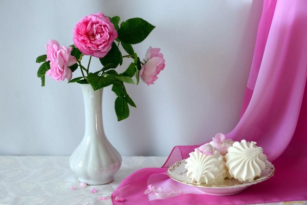 Зефирович зефир