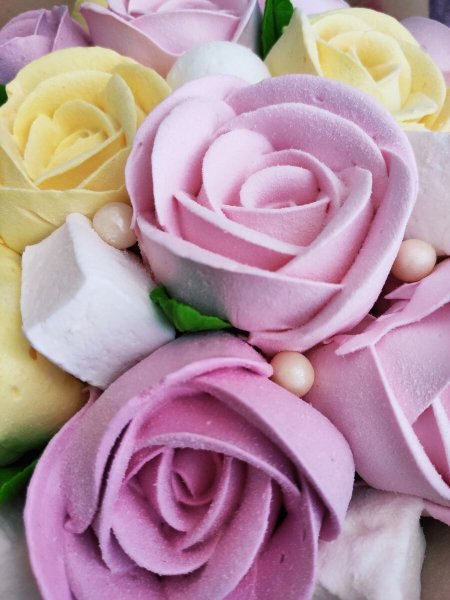 Роза Зефирка