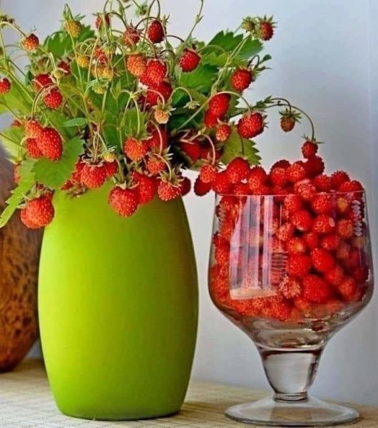 Доброва клюбничнова утра