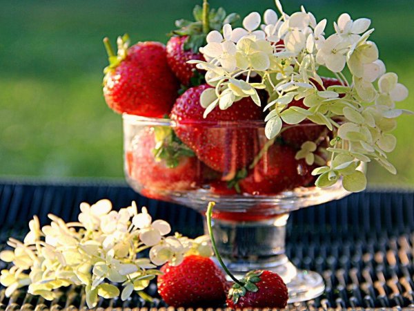 Доброе утро фрукты