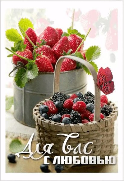 Лето ягоды цветы