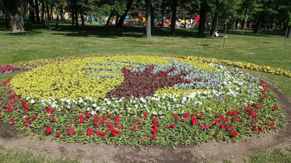 Львиный зев и бархатцы на клумбе