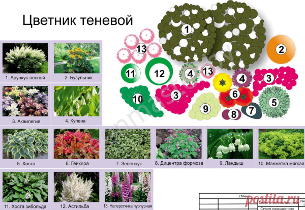 Клумбы миксбордеры схема