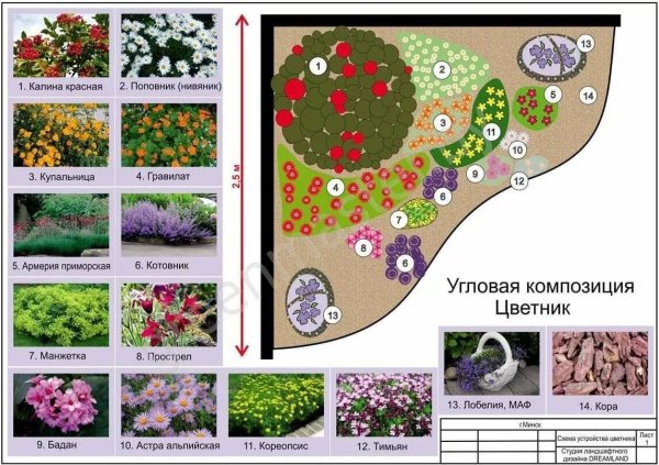 Название первых весенних цветов
