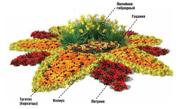 Миксбордер с флоксами схема