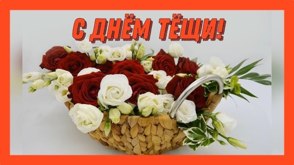 Фото с днем тещи