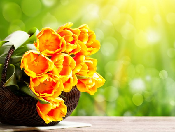 Букет цветов на красивом фоне