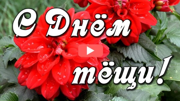 С праздником любимой тёще