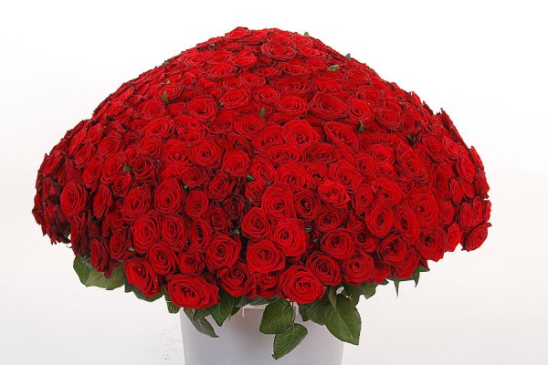 Поздравления с днём рождения тёще