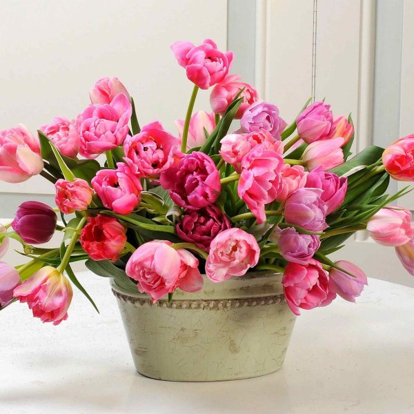 Поздравления с днём рождения весной