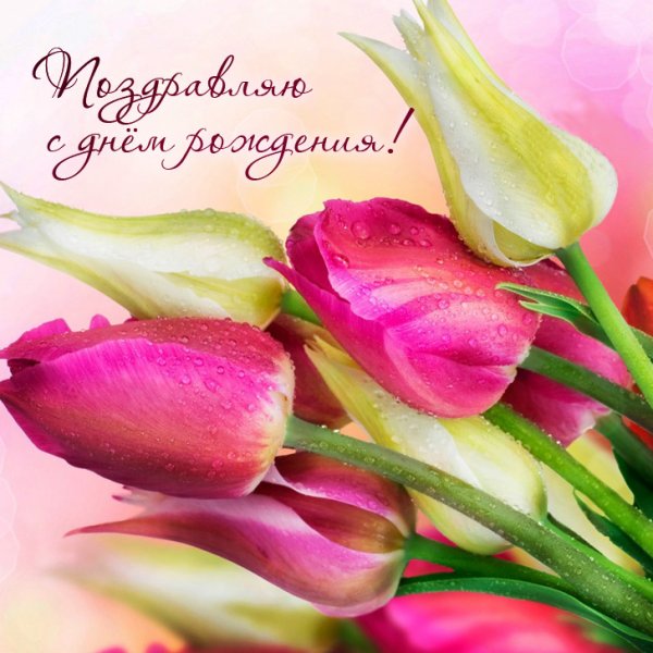 С днем рождения