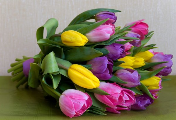 Пионы, левкои, тюльпаны, гиацинты