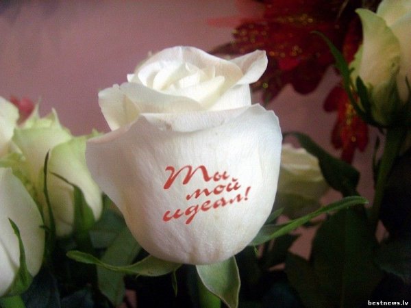 Букет с надписью