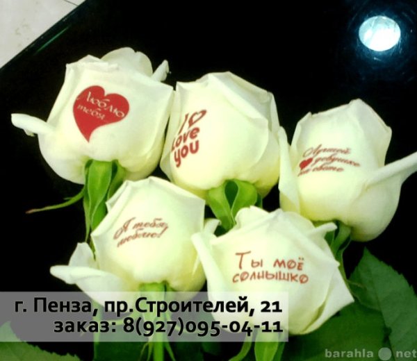 Красивые белые розы с надписями